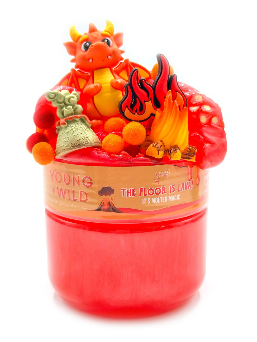 The Floor is Lava Slime Slime Young, Wild & Friedman 