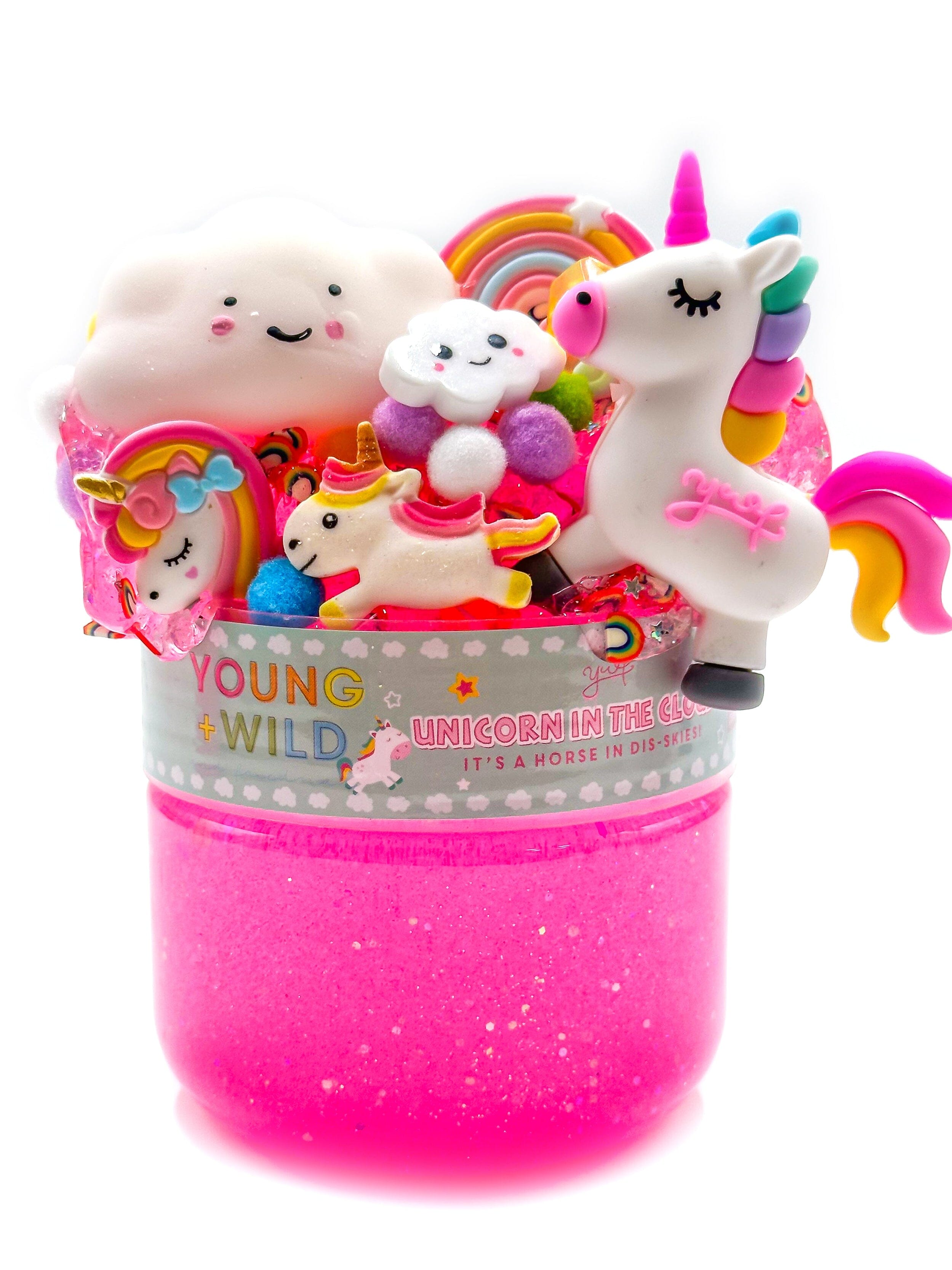 Unicorn in the Clouds Slime Slime Young, Wild & Friedman 