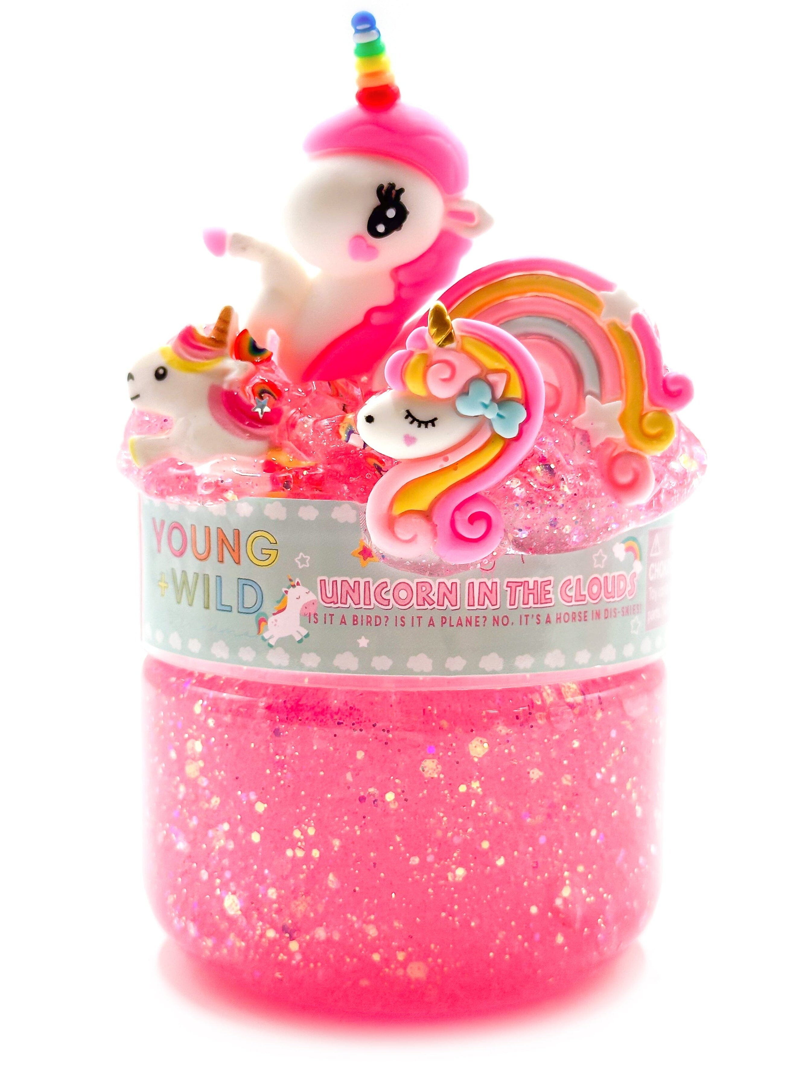 Unicorn in the Clouds Slime Slime Young, Wild & Friedman 