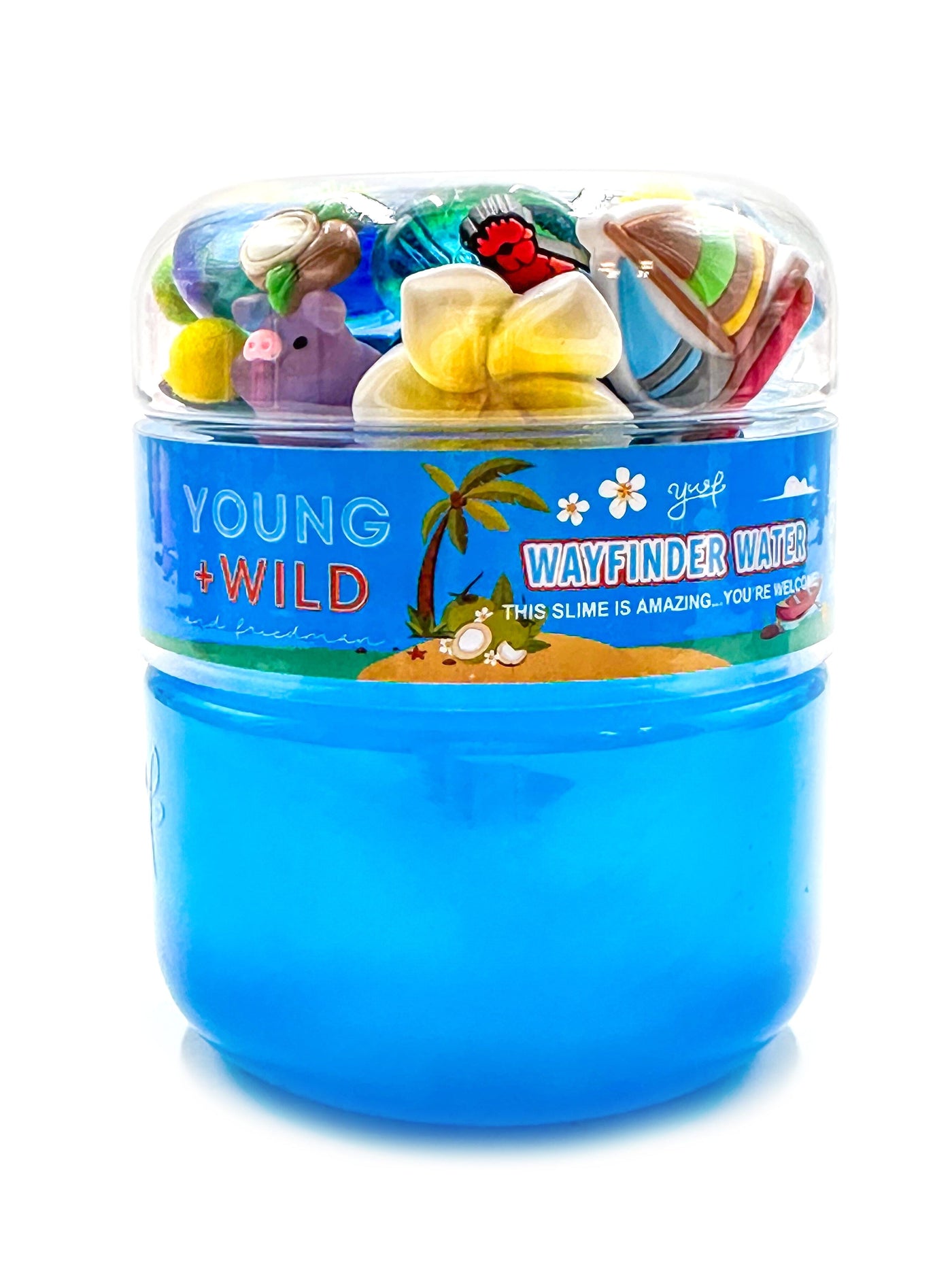Wayfinder Water Slime Slime Young, Wild & Friedman 