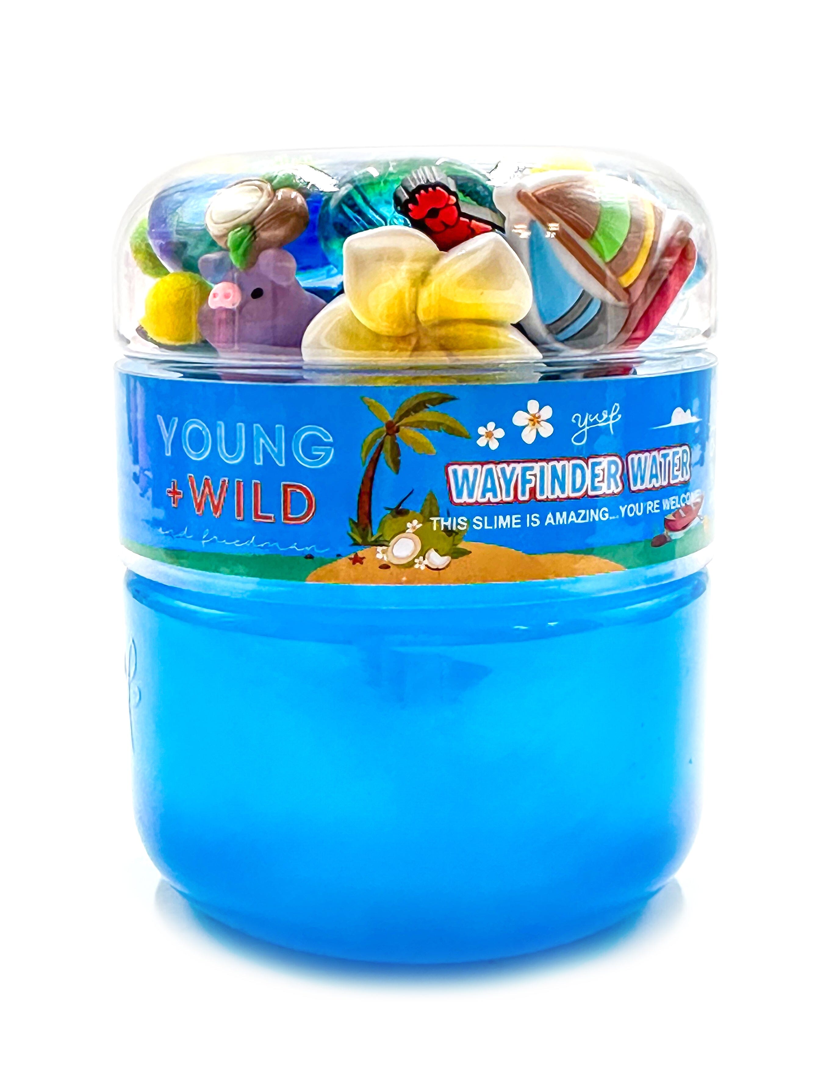 Wayfinder Water Slime Slime Young, Wild & Friedman 