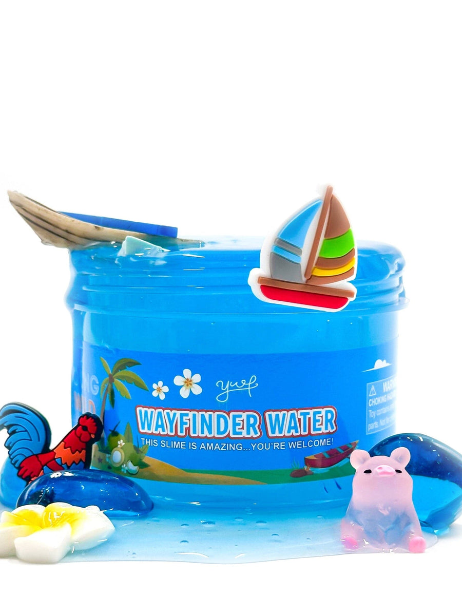 Wayfinder Water Slime Slime Young, Wild & Friedman 