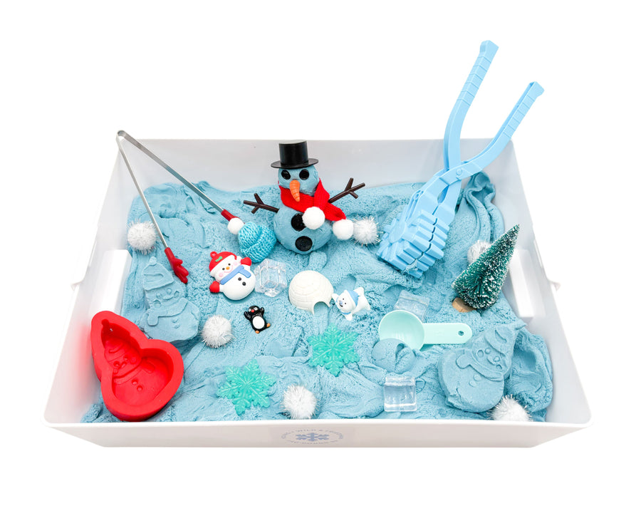 Winter Wonderland Sensory Sand Bin Sensory Bin Young, Wild & Friedman 