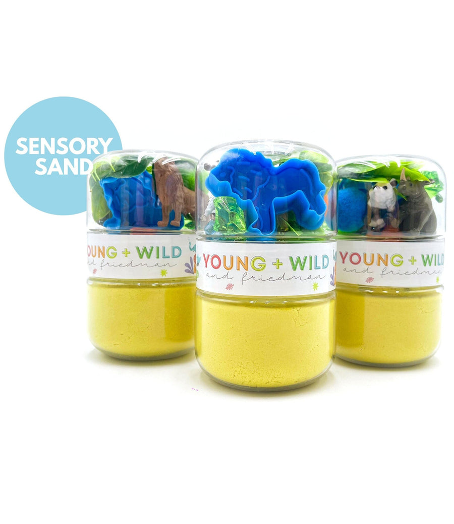 Zoo Grab & Go Sensory Sand Jar Grab and Go Dough Young, Wild & Friedman 