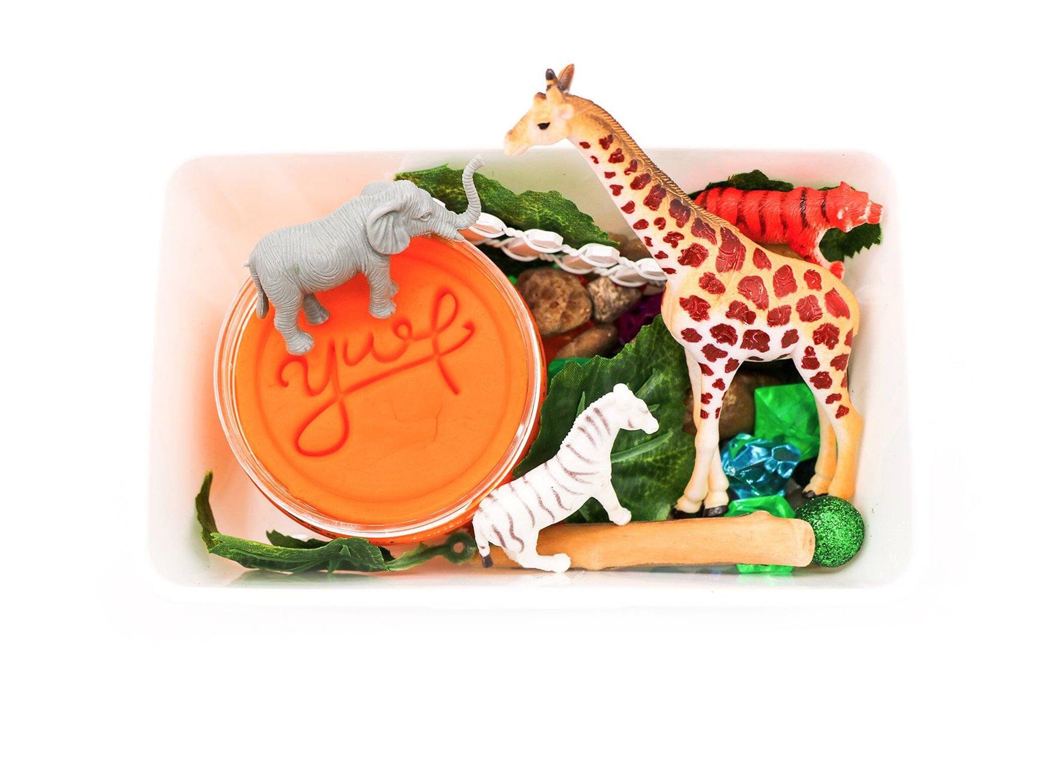 Zoo Mini Kit Mini Kit Young, Wild & Friedman 