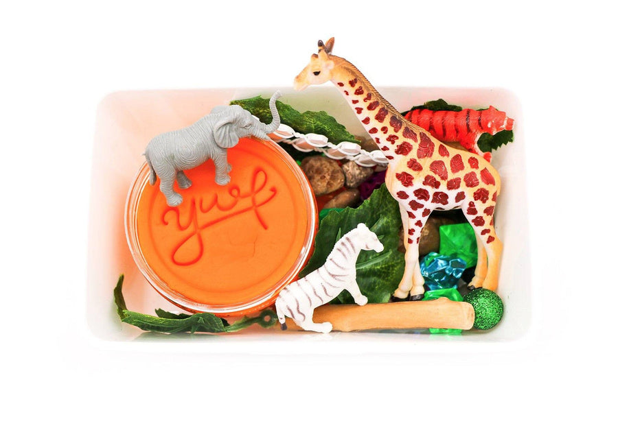 Zoo Mini Kit Mini Kit Young, Wild & Friedman 