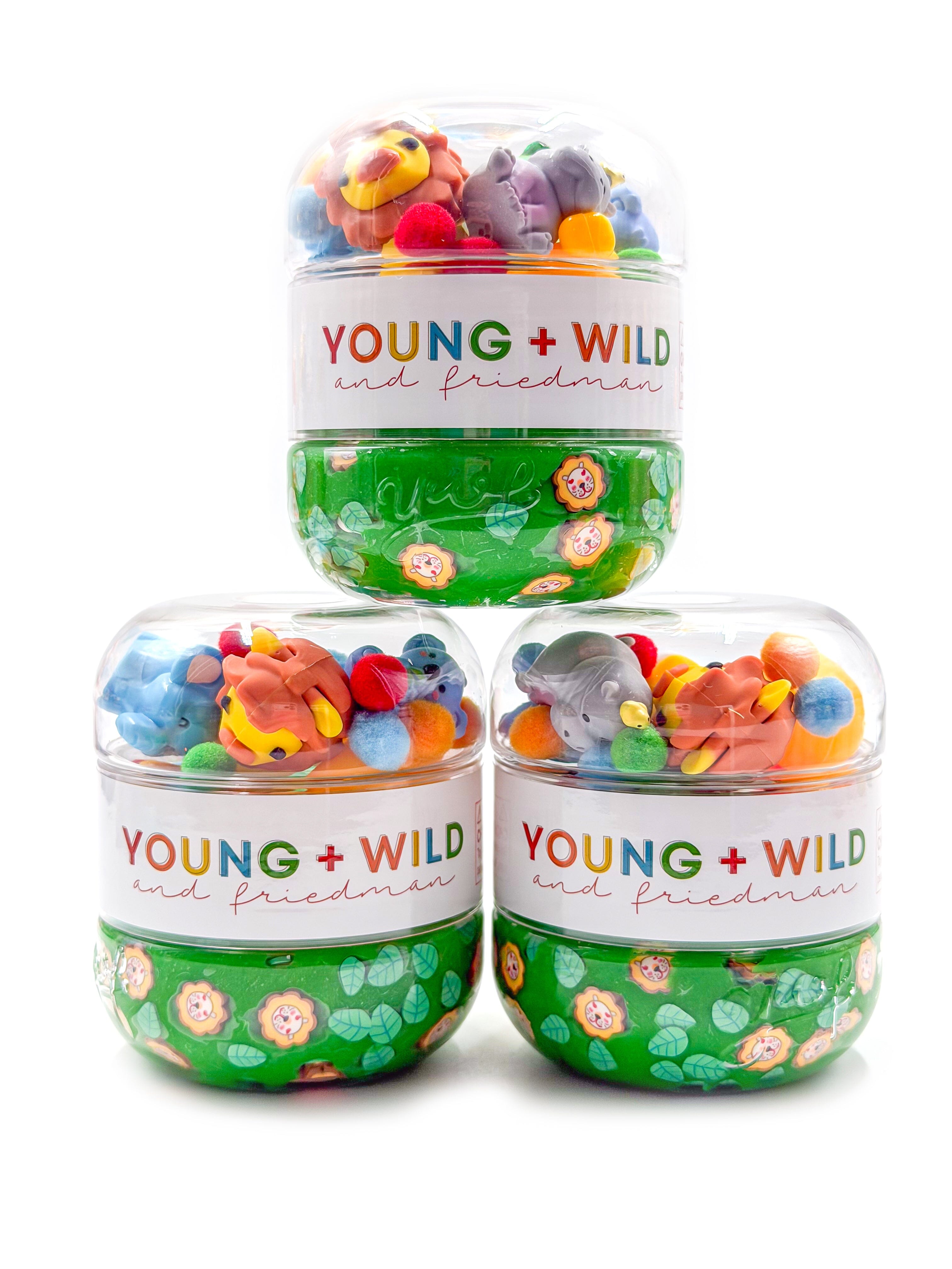 Zoo Sensory Dough Jar Sensory Dough Young, Wild & Friedman 