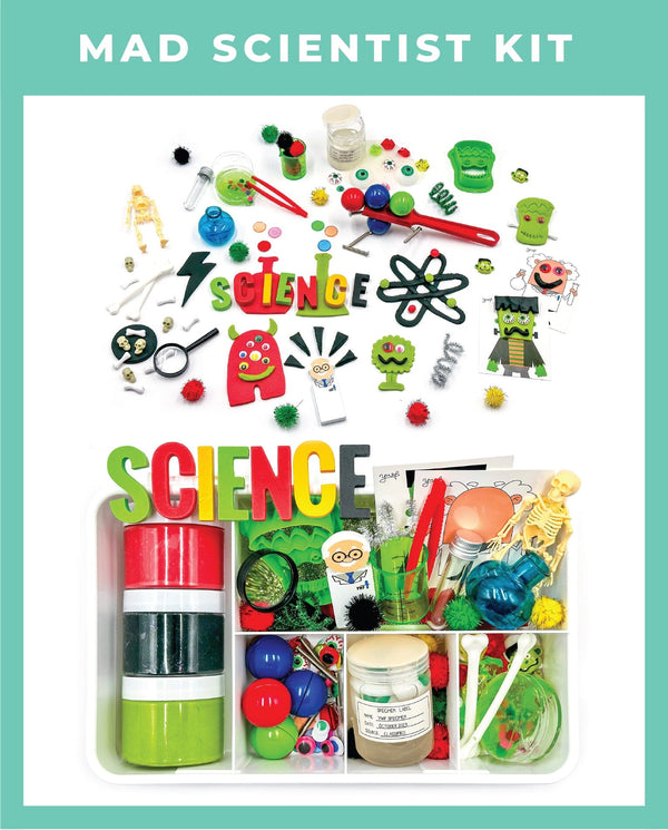 3 Month Holiday Sub - Mad Scientist + Fall + Decorate a Tree Subscription Young, Wild & Friedman 
