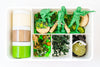 Army Kit Sensory Kit Young, Wild & Friedman 