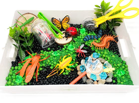 Bug Sensory Bin