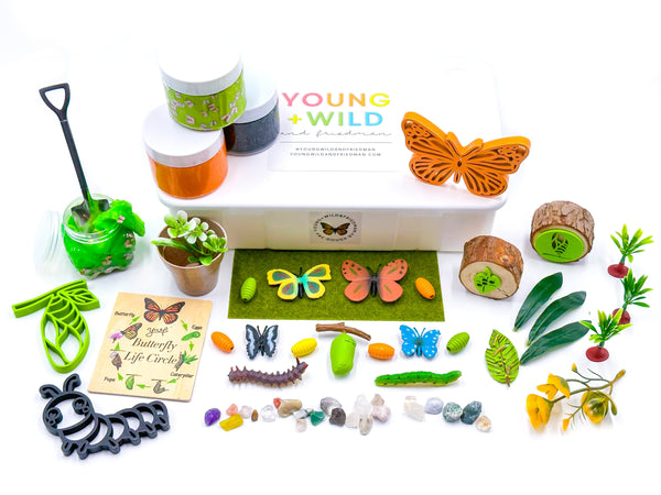 Butterfly Life Cycle Kit Sensory Kit Young, Wild & Friedman 