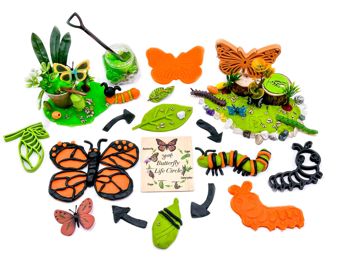 Butterfly Life Cycle Sensory Kit Young + Wild and Friedman