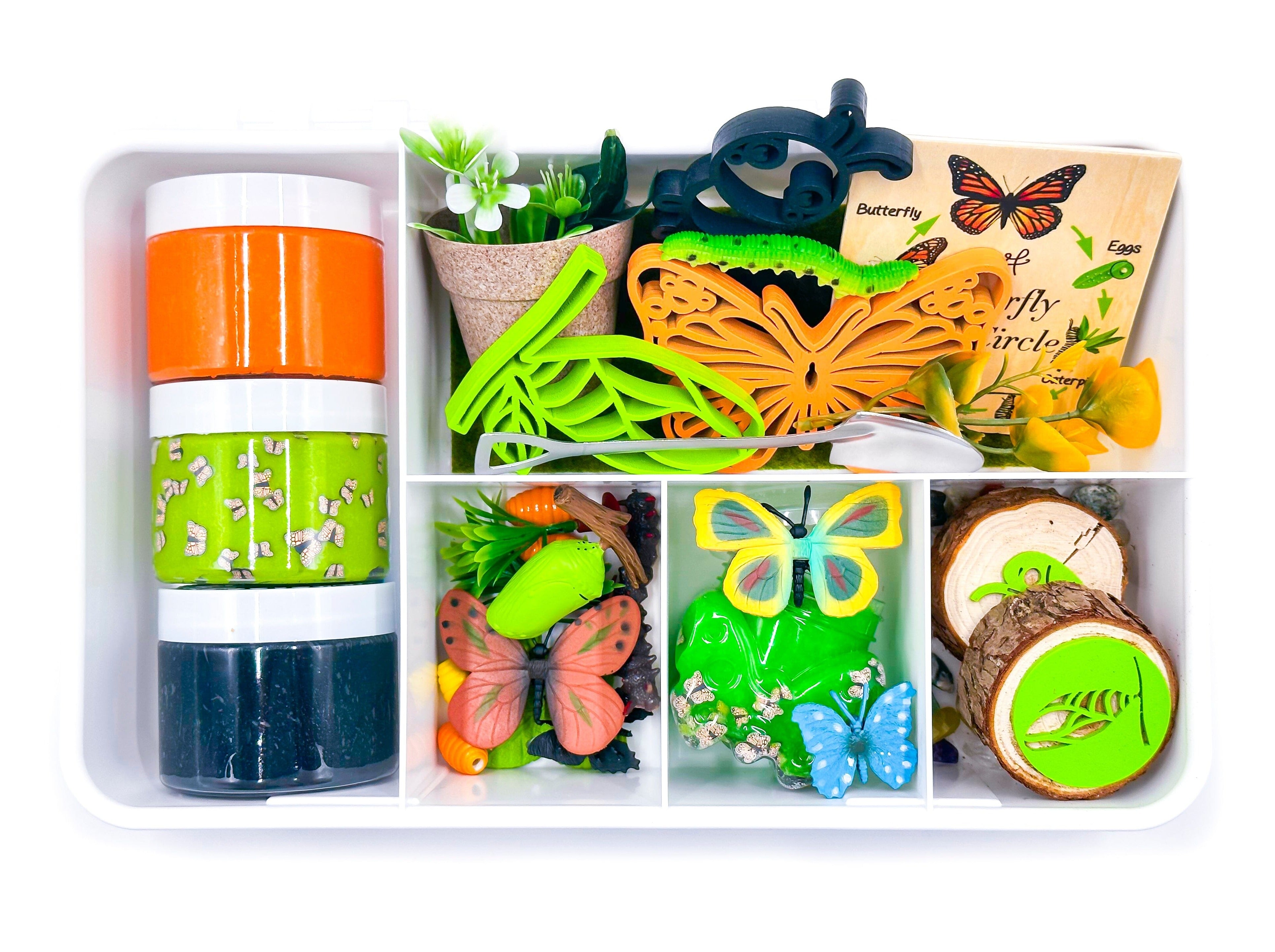 Butterfly Life Cycle Kit Life Cycle Of A Butterfly Diorama Kit Rock