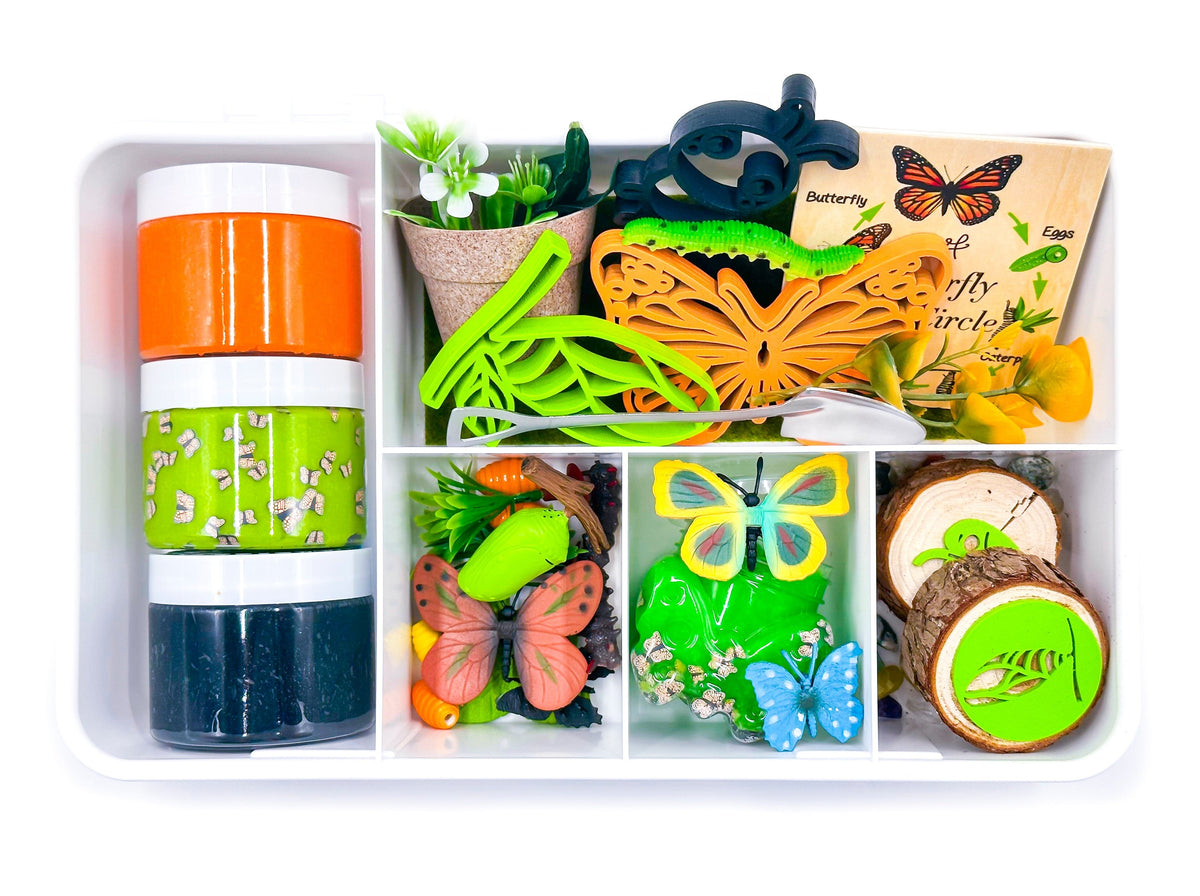 Butterfly Life Cycle Sensory Kit Young + Wild and Friedman