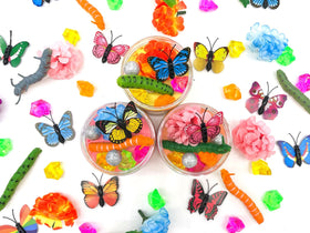 Butterfly Sensory Sand Jars