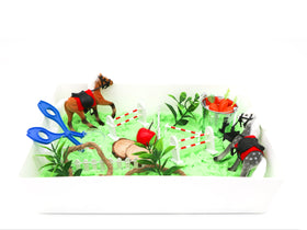 Horse Sensory Bin