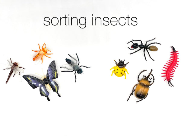 Insect Explorer Kit Curriculum Kit Curriculum Young, Wild & Friedman 