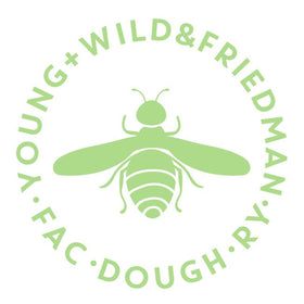 Insect Explorer Kit Curriculum