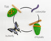 Insect Explorer Kit Sensory Kit Young, Wild & Friedman 