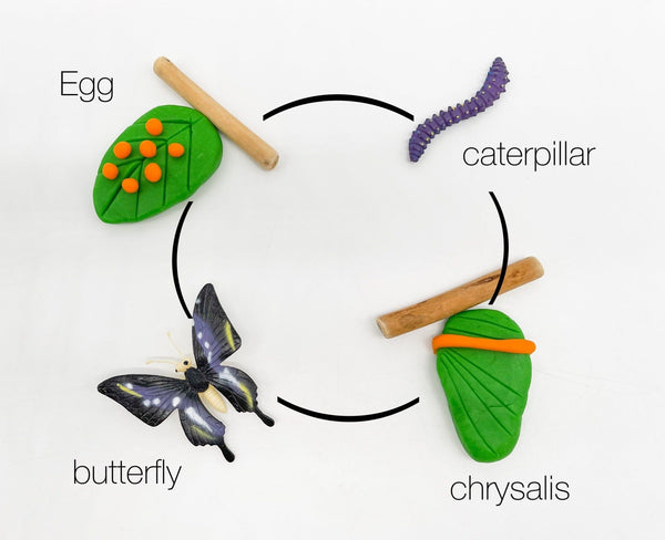 Insect Explorer Kit Sensory Kit Young, Wild & Friedman 