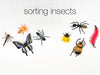 Insect Explorer Kit Sensory Kit Young, Wild & Friedman 