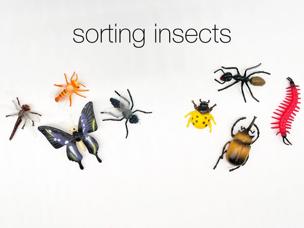 Insect Explorer Kit Sensory Kit Young, Wild & Friedman 