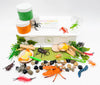Insect Explorer Kit Sensory Kit Young, Wild & Friedman 