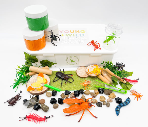 Insect Explorer Kit Sensory Kit Young, Wild & Friedman 