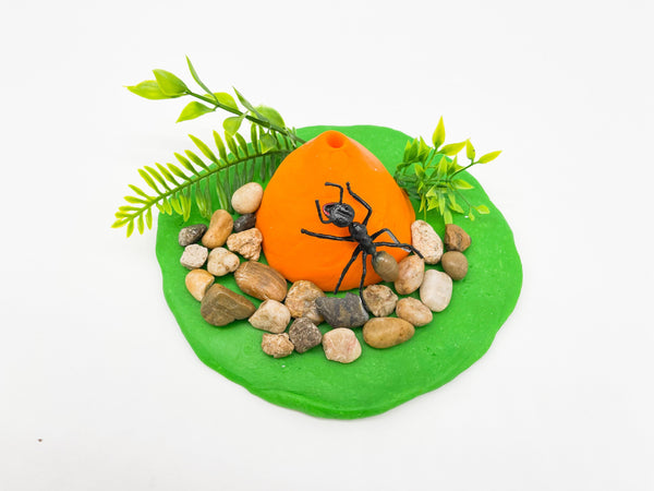 Insect Explorer Kit Sensory Kit Young, Wild & Friedman 