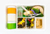 Insect Explorer Kit Sensory Kit Young, Wild & Friedman 