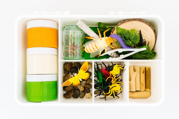 Insect Explorer Kit Sensory Kit Young, Wild & Friedman 