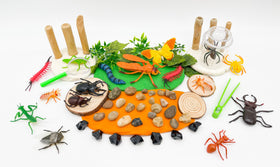 Insect Explorer Kit
