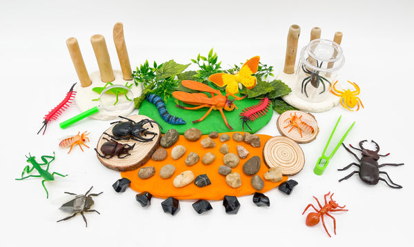 Insect Explorer Kit Sensory Kit Young, Wild & Friedman 