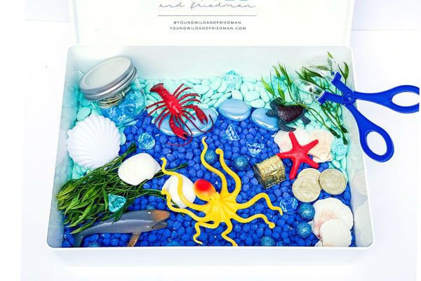 Ocean Sensory Bin Sensory Bin Young, Wild & Friedman 