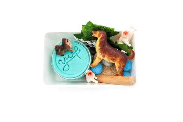 Pets Mini Kit Mini Kit Young, Wild & Friedman 