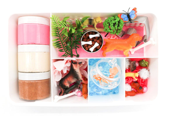 Pink Pet Kit Sensory Kit Young, Wild & Friedman 