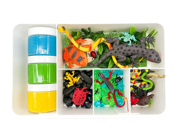 Reptile Kit Sensory Kit Young, Wild & Friedman 