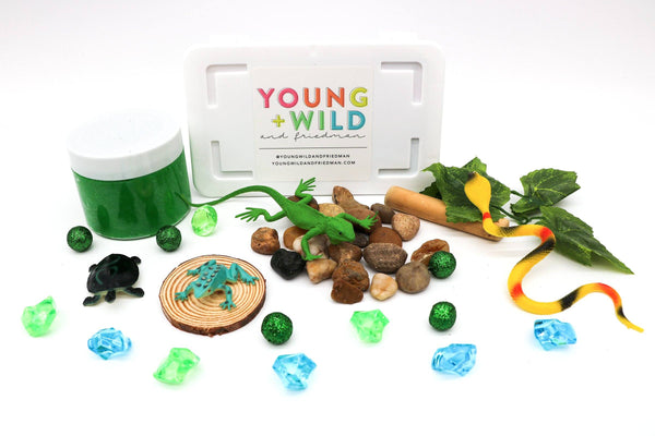 Reptile Mini Kit Mini Kit Young, Wild & Friedman 