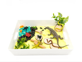 Reptile Sensory Bin