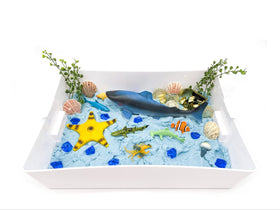 Shark Sensory Bin