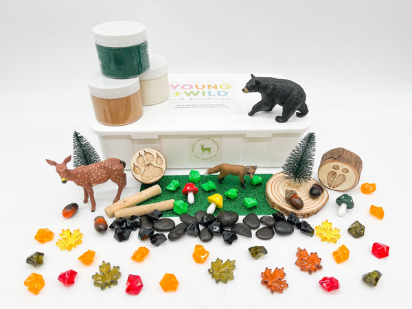 Woodland Animal Kit Sensory Kit Young, Wild & Friedman 