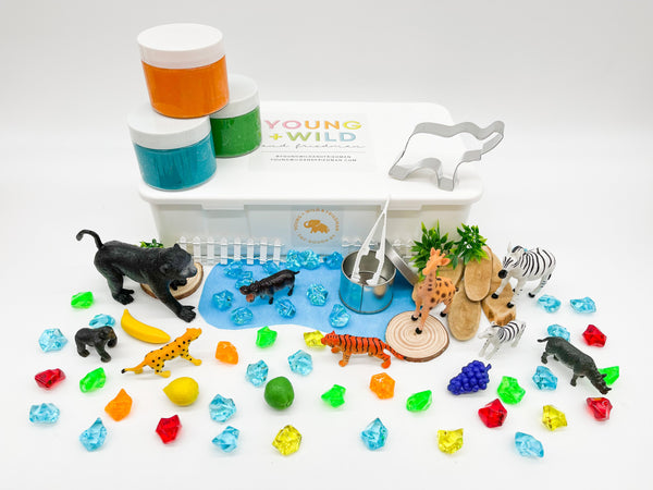 Zoo Kit Sensory Kit Young, Wild & Friedman 