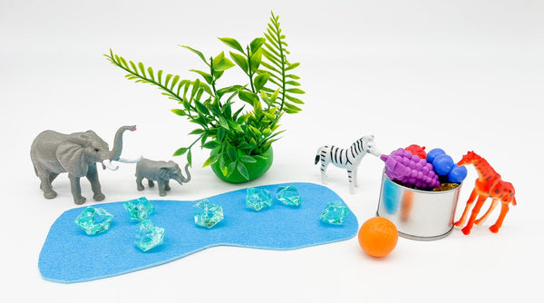 Zoo Kit Sensory Kit Young, Wild & Friedman 