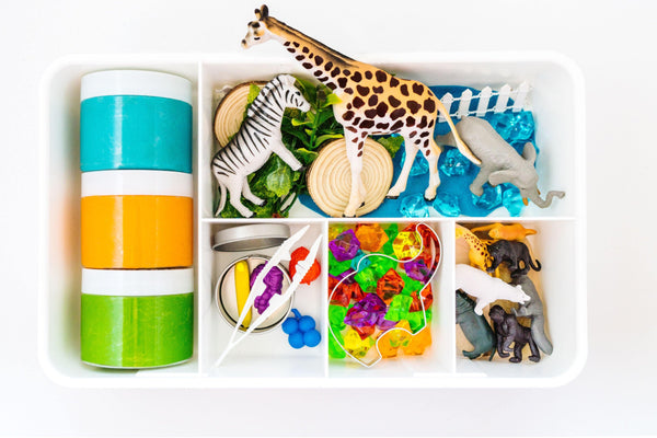 Zoo Kit Sensory Kit Young, Wild & Friedman 