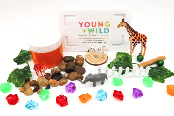 Zoo Mini Kit Mini Kit Young, Wild & Friedman 