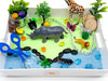 Zoo Sensory Bin Sensory Bin Young, Wild & Friedman 